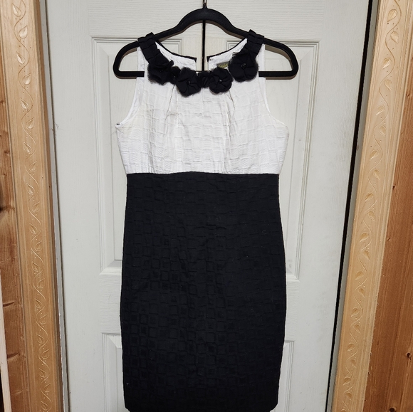 Elegant Black and White Sleeveless Dress - Picture 3 of 11